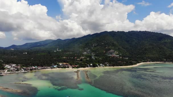 Tropikalnej Plaży Palmami Fale Niebieski Ocean — Wideo stockowe