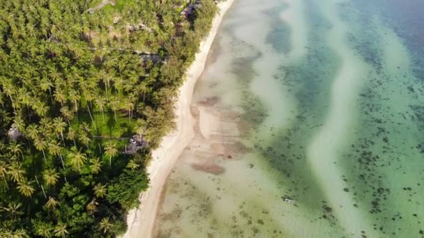 Vista Aérea Del Pintoresco Puerto Deportivo Con Playa Tropical — Vídeo de stock