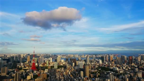 Widok Upływ Czasu Tokio Miasto Japonii — Wideo stockowe