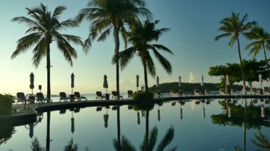 Yüzme Havuzu, plaj şezlong, palmiye ağaçları ve mavi gökyüzü görünümü