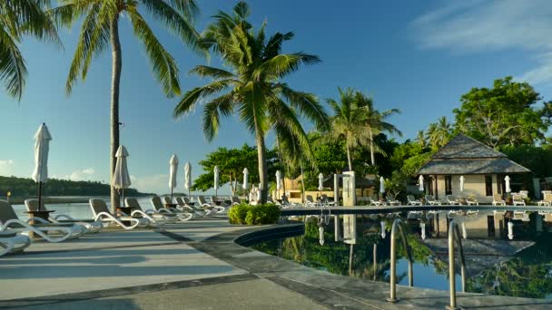 Yüzme Havuzu Plaj Şezlong Palmiye Ağaçları Mavi Gökyüzü Görünümü — Stok video