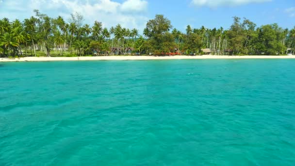 Tropischer Strand Mit Palmen Und Blauen Meereswellen — Stockvideo