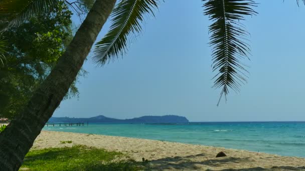 Playa Tropical Con Palmeras Olas Azules Del Océano — Vídeo de stock