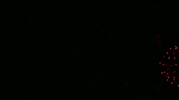 Vidéo 4k de feux d'artifice lumineux dans le ciel nocturne drak 