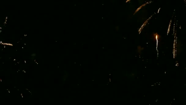 Video Fuochi Artificio Che Brillano Nel Cielo Notturno Drak — Video Stock