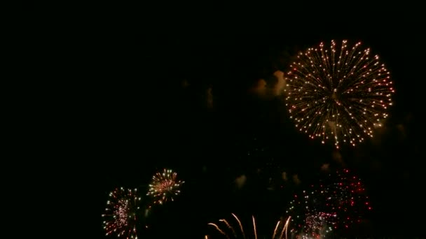 Vidéo 4k de feux d'artifice lumineux dans le ciel nocturne drak 