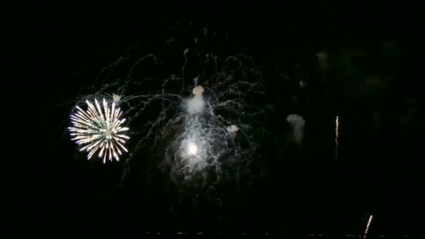 Video Fuochi Artificio Che Brillano Nel Cielo Notturno Drak — Video Stock