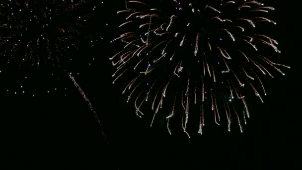 Vídeo Fogos Artifício Brilhando Céu Noturno Drak — Vídeo de Stock