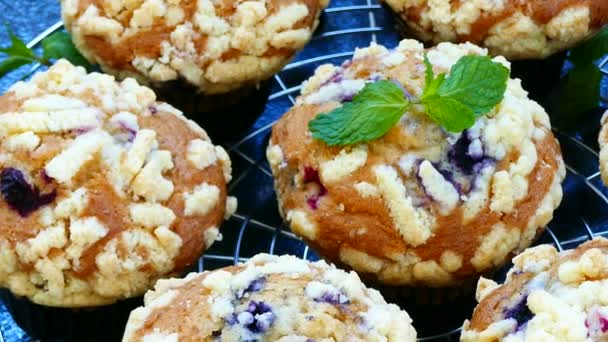 Delicious Homemade Muffins Blueberries Metal Grid — Stock Video