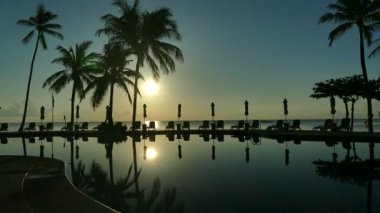 Yüzme Havuzu, plaj şezlong, palmiye ağaçları ve mavi gökyüzü görünümü