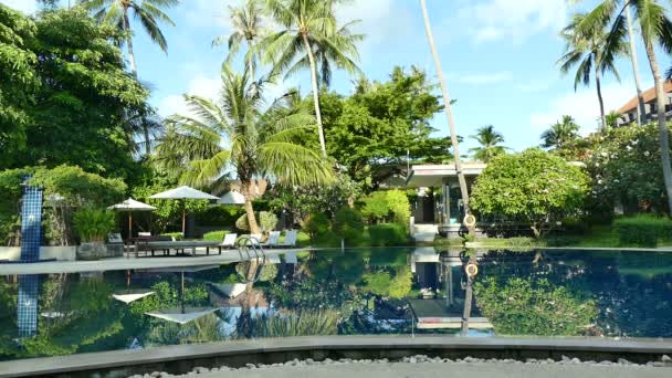 Vista Piscina Ombrelloni Rigogliosa Vegetazione Tropicale — Video Stock