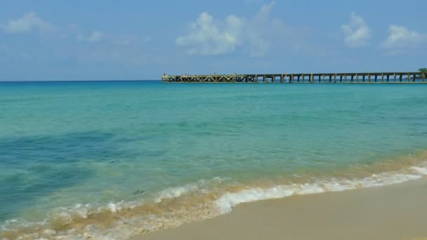 Picturesque Marina Horizon Sandy Beach Blue Sky — Stock Video