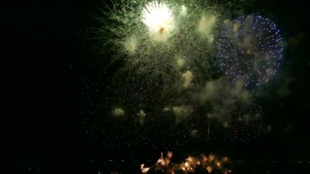 Video Fuochi Artificio Che Brillano Nel Cielo Notturno Drak — Video Stock