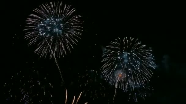 Βίντεο Των Πυροτεχνημάτων Που Λάμπει Στον Ουρανό Νύχτας Drak — Αρχείο Βίντεο
