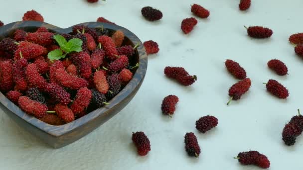 Fresh Mulberry Small Wooden Bowl — Stock Video