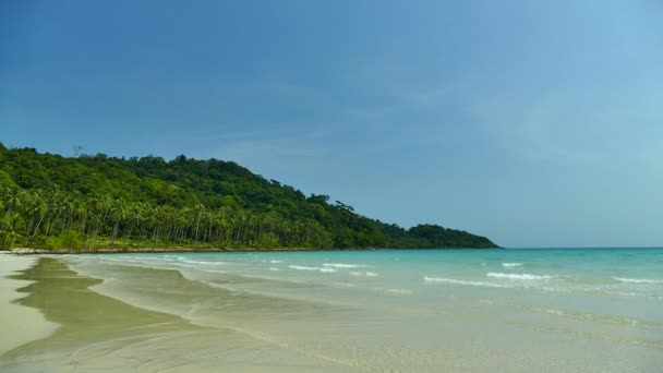 Malerischer Yachthafen Mit Tropischem Strand Urlaub Und Reisen — Stockvideo