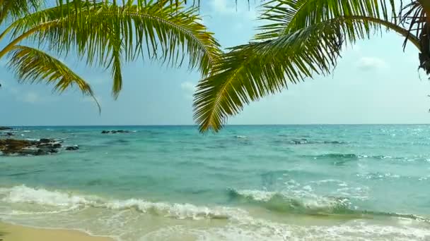 Pitoresca Marina Com Praia Tropical Férias Viagens — Vídeo de Stock