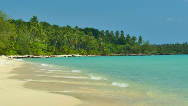 Malowniczej Przystani Tropikalnej Plaży Wakacje Podróże — Wideo stockowe