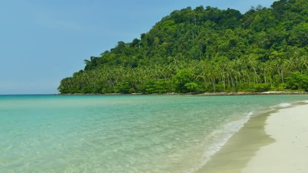 Malerischer Yachthafen Mit Tropischem Strand Urlaub Und Reisen — Stockvideo