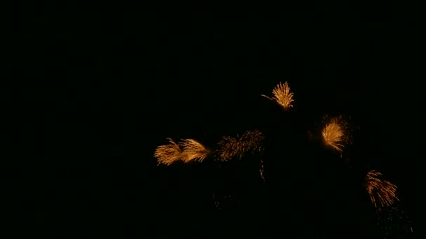 Vídeo Fuegos Artificiales Brillando Cielo Nocturno Borracho — Vídeo de stock