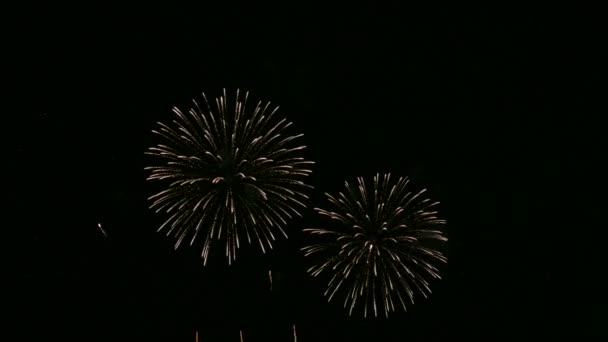 Video Fuochi Artificio Che Brillano Nel Cielo Notturno Drak — Video Stock