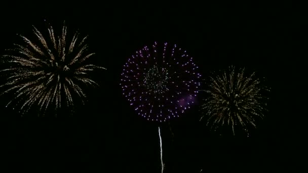 Vidéo 4k de feux d'artifice lumineux dans le ciel nocturne sombre 