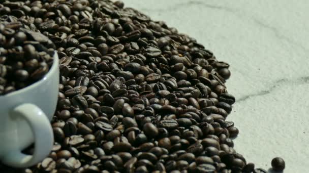 Gebrande Koffiebonen Cup Achtergrond Video — Stockvideo
