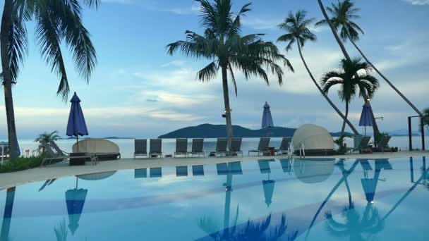 游泳池与棕榈树的日落景色 — 图库视频影像