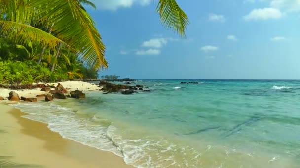 Tropikalnej Plaży Palmami Fale Niebieski Ocean — Wideo stockowe