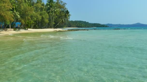 Playa Tropical Con Palmeras Olas Azules Del Océano — Vídeos de Stock