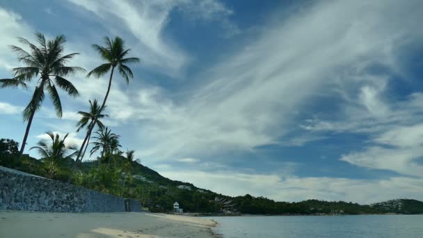 Tropischer Strand Mit Palmen Und Blauen Meereswellen — Stockvideo