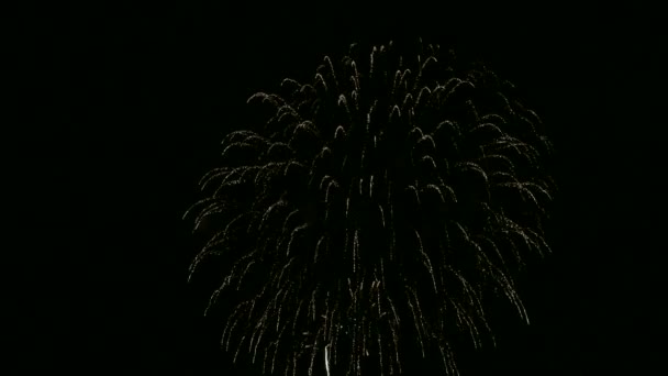 Video Fuegos Artificiales Brillando Cielo Oscuro Noche — Vídeos de Stock