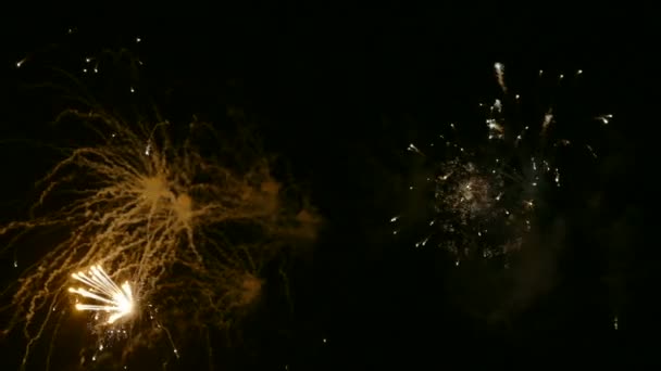 Video Fuochi Artificio Che Brillano Nel Cielo Notturno Buio — Video Stock