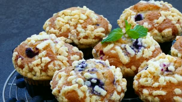 Deliziosi Muffin Fatti Casa Con Mirtilli Sulla Griglia Metallica — Video Stock