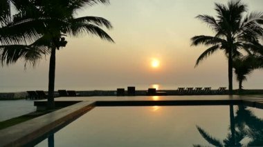 palmiye ağaçları ile yüzme havuzunun gün batımı görünümü