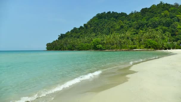 Tropisch Strand Met Palmbomen Blauwe Oceaan Golven — Stockvideo