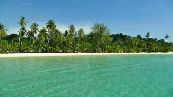 Tropikalnej Plaży Palmami Fale Niebieski Ocean — Wideo stockowe