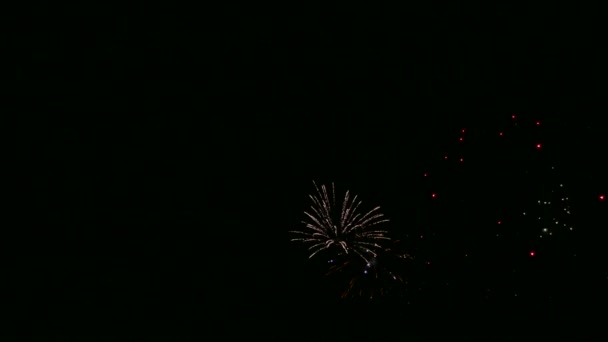 Video Fuegos Artificiales Brillando Cielo Oscuro Noche — Vídeos de Stock