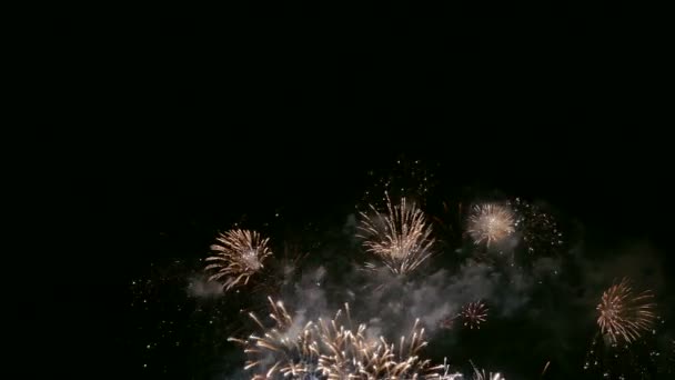 Vidéo Feux Artifice Lumineux Dans Ciel Nocturne Sombre — Video