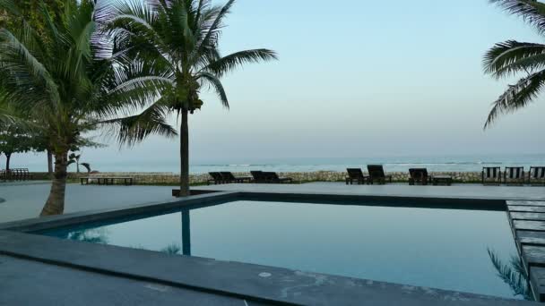 Yüzme Havuzu Manzarası Plaj Şemsiyeleri Palmiye Ağaçları Mavi Gökyüzü — Stok video