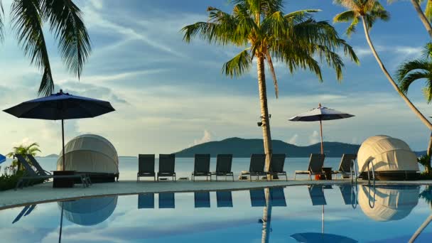 View Swimming Pool Beach Umbrellas Palm Trees Blue Sky — Stock Video
