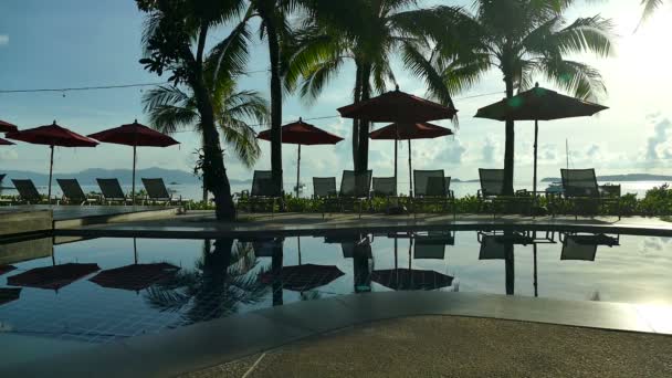 沙滩雨伞 棕榈树及蓝天的景观 — 图库视频影像
