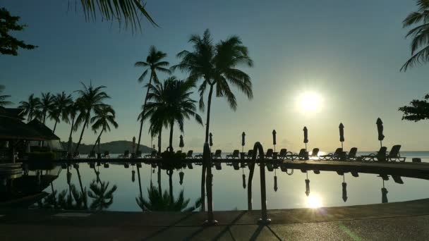 Utsikt Över Poolen Strandparasoller Palmer Och Blå Himmel — Stockvideo