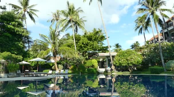 游泳池 沙滩伞和郁郁葱葱的热带植被景观 — 图库视频影像