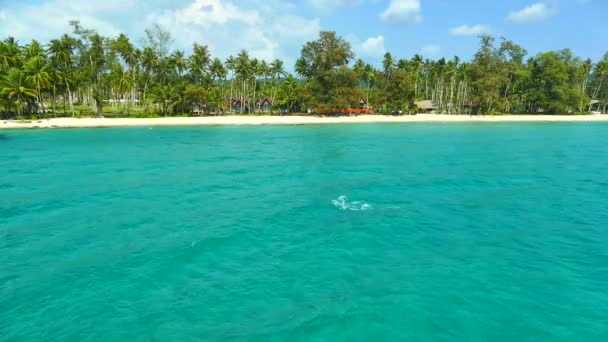 Picturesque Marina Sea Waves Tropical Beach Blue Sky — Stock Video