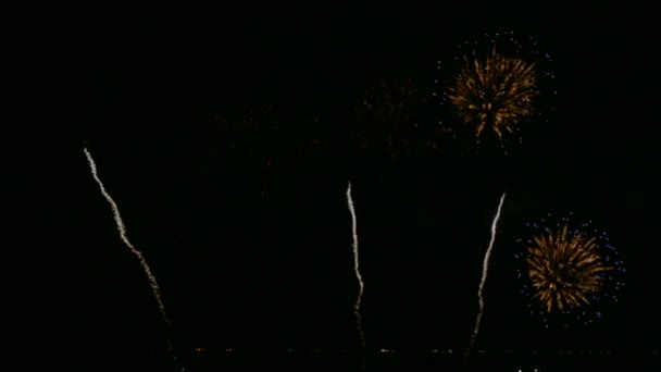 Video Fuochi Artificio Che Brillano Nel Cielo Notturno Buio — Video Stock