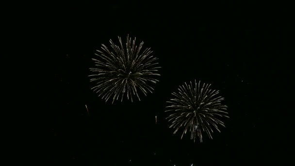 Video Fireworks Glowing Dark Night Sky — Stock Video