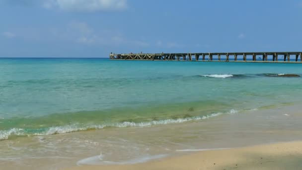 Malerischer Yachthafen Mit Meereswellen Sandstrand Und Blauem Himmel — Stockvideo