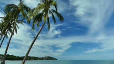 Tropikal plaj ile pitoresk marina. Tatil ve seyahat