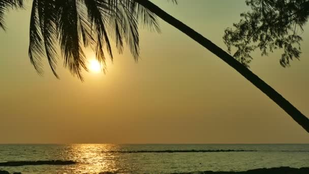 Sonnenuntergang Mit Meereswellen Palmen Und Dramatischem Himmel — Stockvideo